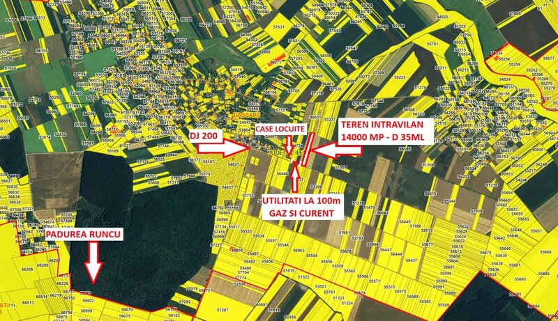 Dascalu teren intravilan 35ml deschidere 14000 mp  comision 0%